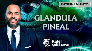 CURSO GLANDULA PINEAL